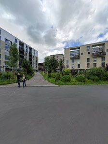 4 Johreszyte 4 Johreszyte